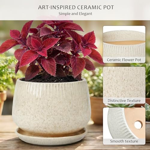 10.3 Inch Ceramic Planter with Saucer,Modern Garden Pots with Drainage Hole Mesh Net, for Indoor Outdoor Use (Silk White) - Image 3