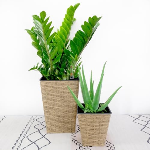 Self-Watering Square Wicker Planters, 2-Pack, Brown by Noeko