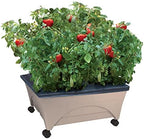 Emsco Group 2342-1HD City Picker Self Watering and Improved Aeration – Mobile Unit with Casters-Sand Raised Bed Grow Box by EmscoGroup