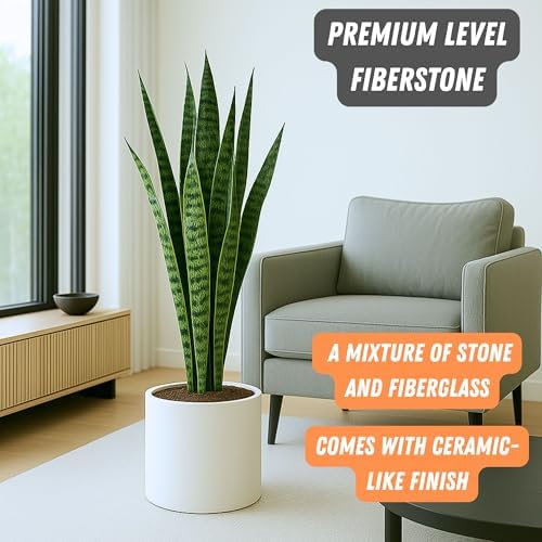 Fox & Fern Large Planter for Indoor or Outdoor, White Matte, 12 Inch - Image 3
