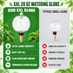 2 Pack 28 oz XXL Extra Large Self Watering Globes to 3+ Weeks Watering - Image 3