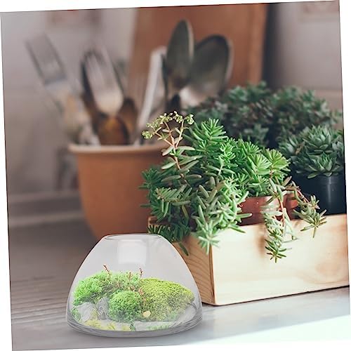 Landscape Glass Bottle Terrarium Holder for Plants Storage Container for Moss and Decor for Home and Garden Use - Image 5