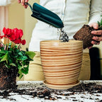 10 Inch Plant Pot Ceramic Pots for Plants with Drainage Hole and Saucer Round Flower Pot for Home Patio Garden Office Yellow - Image 4