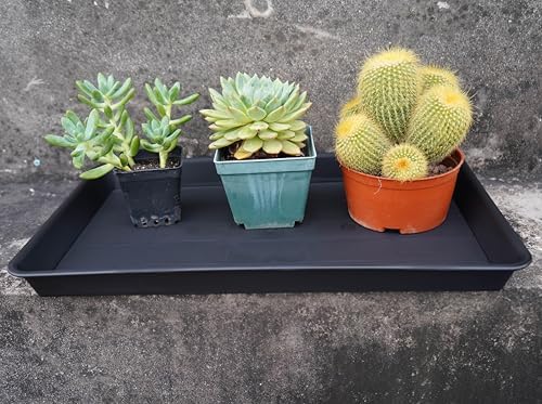 VUWEZ 4 Pack Plant Growing Nursery 1020 Trays, Plant Saucer Tray, Heavy Sturdy Seed Starting Trays, Plant Saucer for Indoors No Holes, Seed Starter Growing Tray (22"x11.2", Black) - Image 5