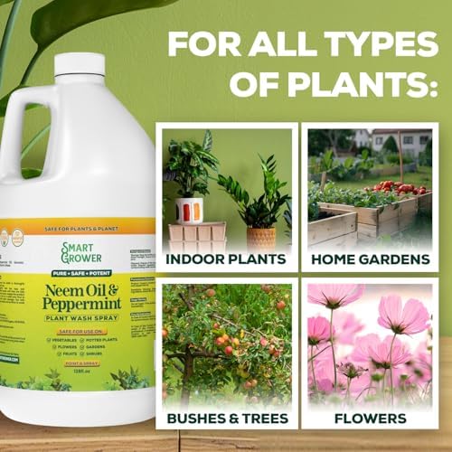 Neem Oil Spray for Plants with Peppermint Oil. Indoor & Outdoor Plant Use - Image 6