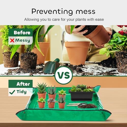 GROWNEER Bonsai Pots with Drainage Tray 6 Pack 9 Inch Bonsai Training Pot - Image 3