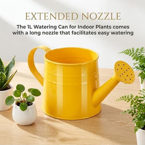 Watering Can Metal, Indoor Plant Watering Can with Long Spout (C2PCS) - Image 4