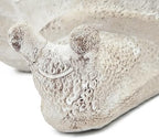 Decorative Snail Planter, 9.5 Inch, Textured Beige - Image 6