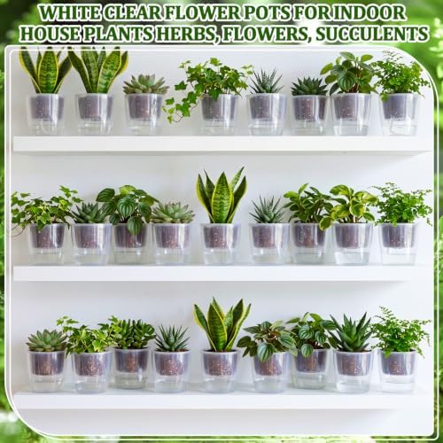 Self Watering Plant Pots, 3.5'', Transparent, 72 Pcs - Image 6