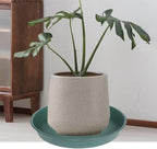 4 Pack of 18 19 inch Plant Saucer Drip Tray (16.6 inch Base), Heavy Duty Large Deep Plant Saucers for Pots, Plastic Flower Planter Water Trays for Indoors Outdoor (19", Green) - Image 5