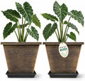 Usocik 10 Inch Square Planter Pots with Saucers, Brushed Gold, 2 Pack by Usocik