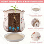 Ceramic-Planters-for-Indoor-Plants with Saucer, 6 inch Vintage Ice Crackle Glaze Plant Pots with Drainage Holes, Decorative Flower Pots for Outdoor Garden Home Decor, Tuscan Pot for Plant - Image 5