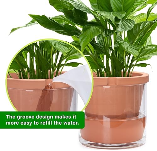 D'vine Dev Self Watering Terracotta Planter Pot, 10 in, 37-X-D-1 - Image 6