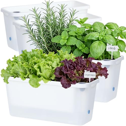 Oliz Window Box Planter 4 Packs, 14 Inches Rectangle Flower Pots with Breathable Drainage Holes, Pots for Vegetables, Herbs, Flowers, Garden Windowsill Balcony (Translucent White) by Oliz