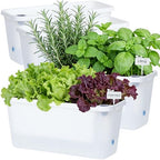 Oliz Window Box Planter 4 Packs, 14 Inches Rectangle Flower Pots with Breathable Drainage Holes, Pots for Vegetables, Herbs, Flowers, Garden Windowsill Balcony (Translucent White) by Oliz