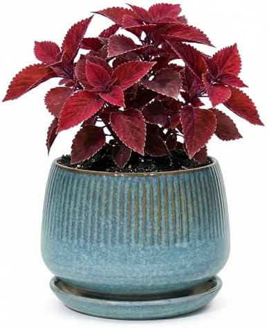 7.5 Inch Ceramic Planter with Saucer,Modern Garden Pots with Drainage Hole Mesh Net, for Indoor Outdoor Use (Crackle Blue) by Unknown
