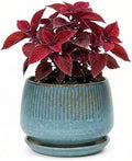 7.5 Inch Ceramic Planter with Saucer,Modern Garden Pots with Drainage Hole Mesh Net, for Indoor Outdoor Use (Crackle Blue) by Unknown