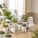 Ziliny 20 Pcs 4.92 Inch Self Watering Planters with Water Indicator - Image 2