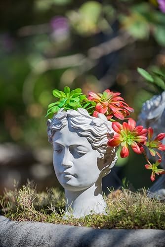7" Greek Style Cement Head Planter, 11 Inch, Gray - Image 7