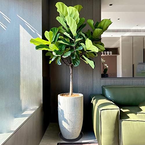 4 Pack of 16 inch Plant Saucer (13.5" Base), Heavy Duty Plastic Plant Tray for Pots, Flower Water Trays for Indoors, Bird Bath Bowls, Plant Drip Saucers for Planter 14"/15"/16" (Black) - Image 2