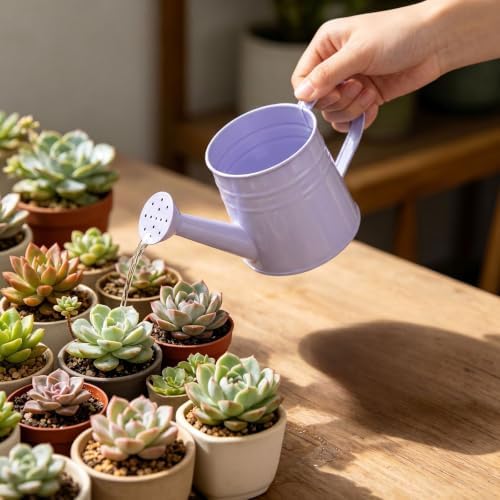1L Retro Metal Painted Watering Can with Long Spout & Handle Flower Plant - Image 5