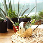 Watering Can Indoor Vintage Stainless Steel Large Capacity 1000ml Watering Kettle Pot Gold for Indoor Gardening and Family Patio Gardening - Image 7