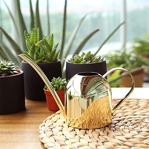 Watering Can Indoor Vintage Stainless Steel Large Capacity 1000ml Watering Kettle Pot Gold for Indoor Gardening and Family Patio Gardening - Image 7
