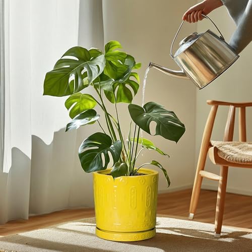 Eightpot Plant Saucers for Indoors, 9.3 Inch Plant Pot Saucers, Plant Drip Trays for Indoor Outdoors, Round Plants Plates to Catch Water, Boho Decorative Plants Dishes to Catch Water, Yellow - Image 3
