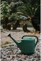 Watering Can Watering Can for Indoor Plants Plastic with Long Spout for Outdoor House Garden Bonsai Pot Garden Tool(3L) - Image 6