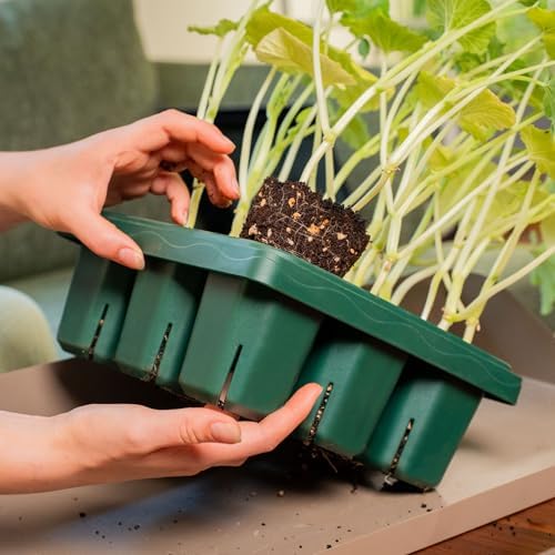 Vego garden Giga Seedling Trays - 2 Pack, 9-Cell UV-Resistant Reusable Starter Trays for Greenhouse/Garden (No Lids) - Image 4
