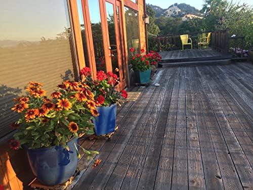 Dripworks Premium Deck Garden Irrigation Kit for Watering Plants in Balconies/Terrace/Patios - Waters Upto 180 Plants | Agricultural Grade Components | Trusted Brand Since 1991 - Image 3