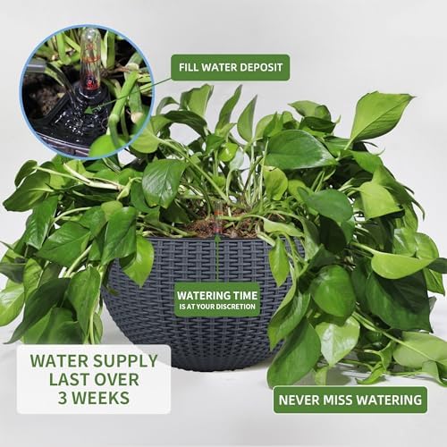 Dexceder 10.5 Inch Self Watering Hanging Planter (Gray) - Image 4