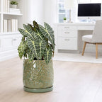D'vine Dev Embossed Leaves Ceramic Planter, 10 in, Olive, 27-A-P-0 - Image 2
