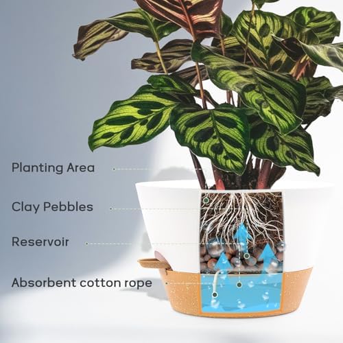 12 Inch Self Watering Pot with Visual Water Window, Drainage Holes & Watering Lip, Set of 3 Large Plastic Planters for Indoor Outdoor Plants, Modern Decorative Flower Pot (White) - Image 4