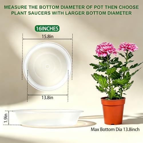 TITE 3 Pack Plant Saucer Heavy Large Planter Durable Thicker Plastic Plant Trays for Indoors and Outdoor,Plant Saucer Drip Trays (Transparent, 16 inch) - Image 3