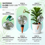 4 Pack 26 oz Extra Large Plant Self Watering Globes to 3 Weeks Watering - Image 7