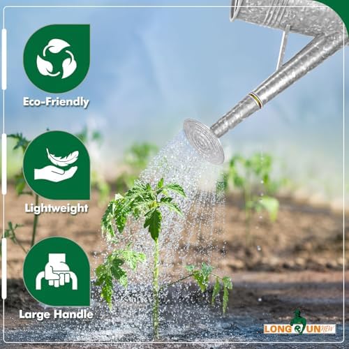 Galvanized Iron Watering Can for Indoor Plants, Oval Watering Cans for House Plant Garden Flower, Long Spout Water Can for Outdoor Watering Plants 9.46L 2.5 Gallon - Image 5