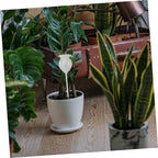 OSALADI 2pcs Self Watering Plant Spikes Glass Automatic Dripper Device - Image 5