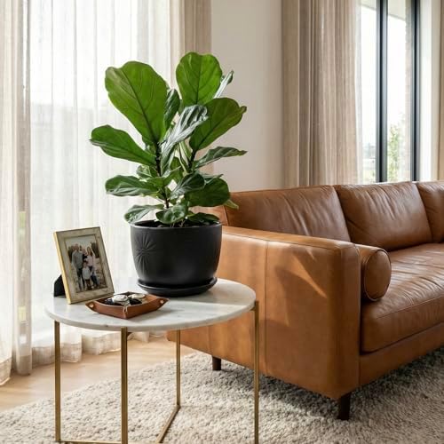 MyGift 7 Inch Black Ceramic Sunburst Planter Pot with Attached Saucer - Image 3