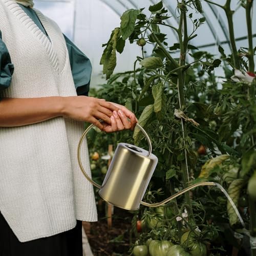 Stainless Steel Garden Watering Pot 2000ml with Long Spout - Image 3