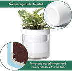 Phoenix Vine 6 Inch Self Watering Planter, White Terracotta Clay Pot with Glass Reservoir for Indoor Plants, Herbs, Flowers, Set of 1, 52-B-F-1 - Image 4