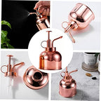 Vintage Plant Watering Can Stainless Steel Succulent Watering Bottle Indoor Plant Mister - Image 7