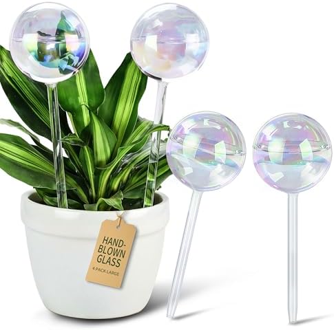 Soilagua Large Rainbow Plant Watering Globes, Extra-Thick Glass, 4 Pack by SoilaguaDirect