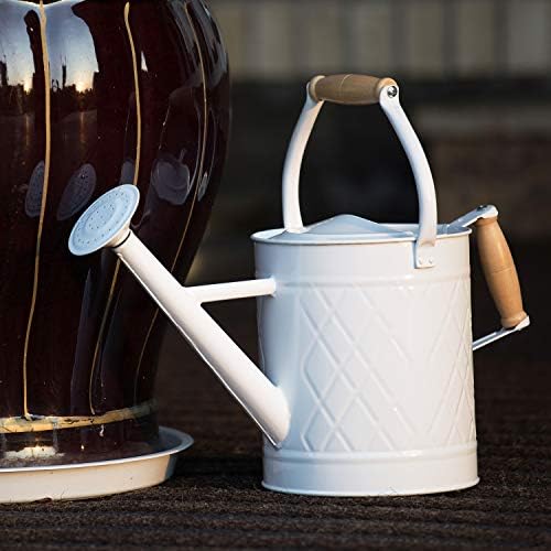 1 Gallon White Metal Watering Can with Wooden Handles - Image 6