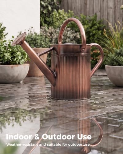 Bamworld Metal Watering Can for Indoor Outdoor 1 Gallon Antique Bronze - Image 5