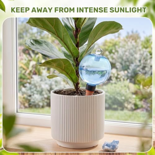 12 Pack 17 oz Self Watering Globes for Plants with Covers, Blue - Image 4