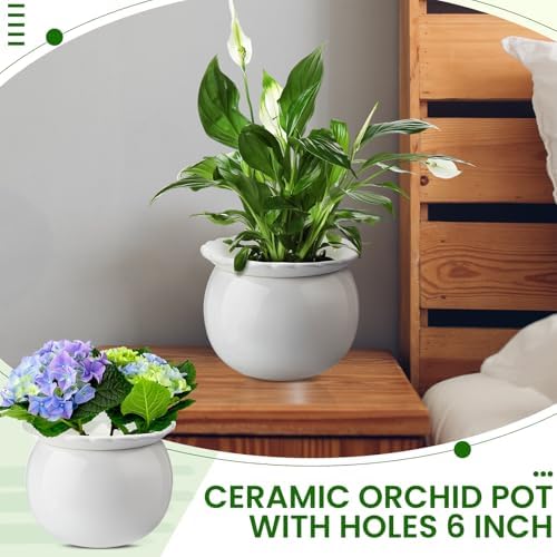 Suclain 2 Pcs African Violet Pots, 6.5 Inch Self Watering Pots for Indoor Flowers and Plants Ceramic Easy Self Watering Plant Pot with Highly Absorbent Inner Planter Pot for Tropical Plants(White) - Image 6