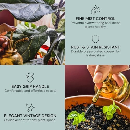 Sustainable Village Indoor Plant Mister - Brass Water Mister Spray Bottle Plants Indoor - Plant Sprayer Mister Stainless - Vintage Spray Bottle for Terrarium - Image 4