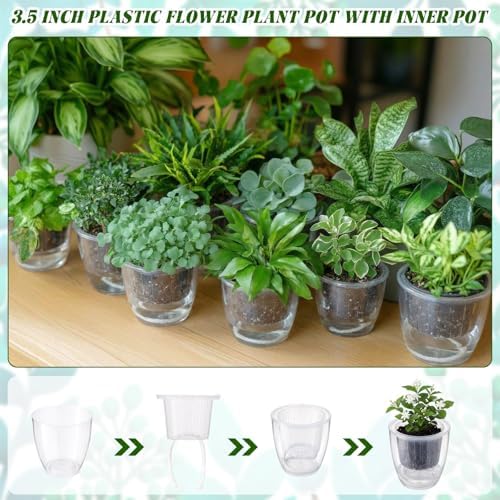 Self Watering Plant Pots, 3.5'', Transparent, 36 Pcs - Image 4