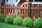 Palram ELGO 50' Drip Line Kit - Image 3